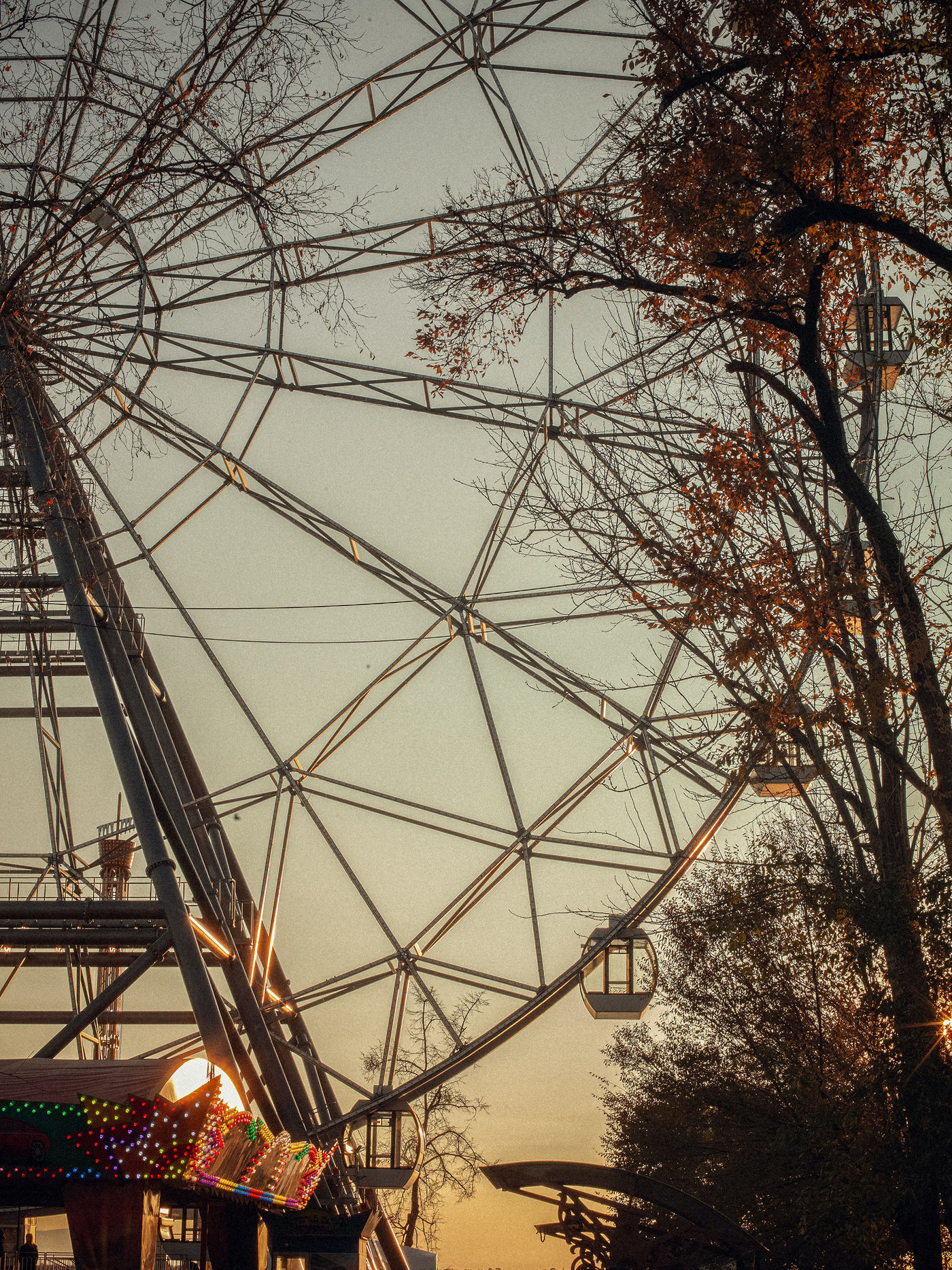 Ferris wheel at sunset seen through autumn trees